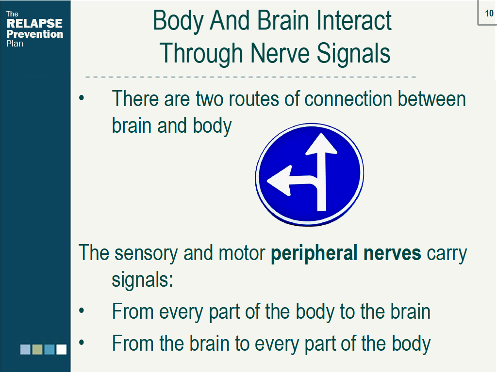Lesson Slide Image