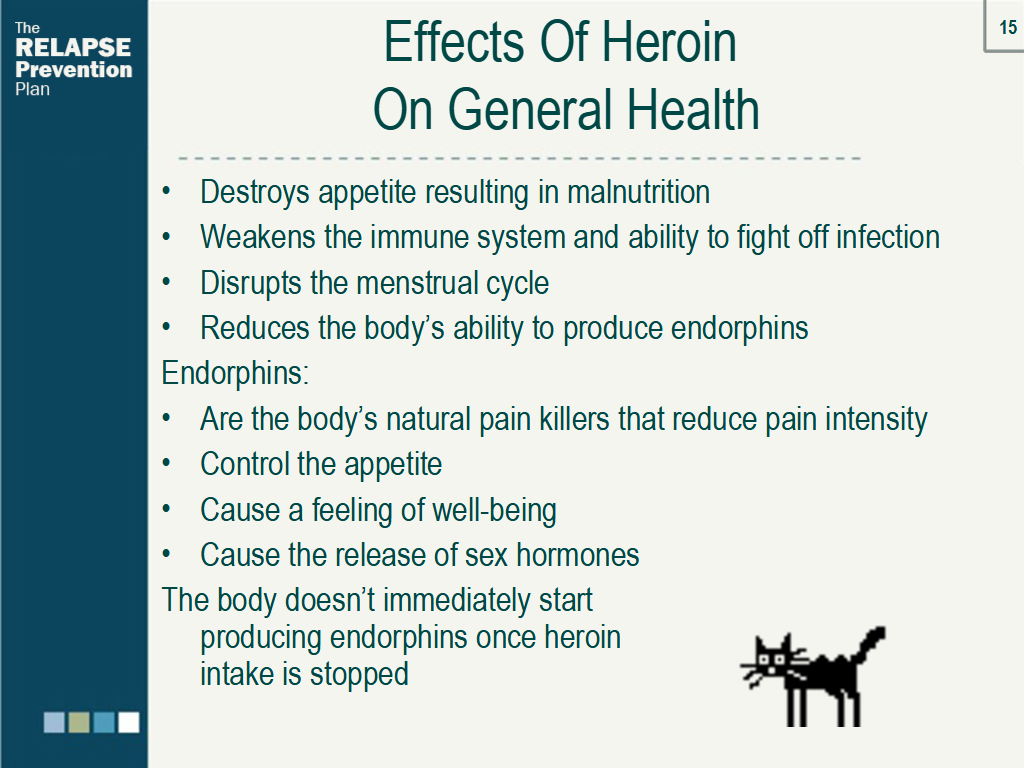 Lesson Slide Image