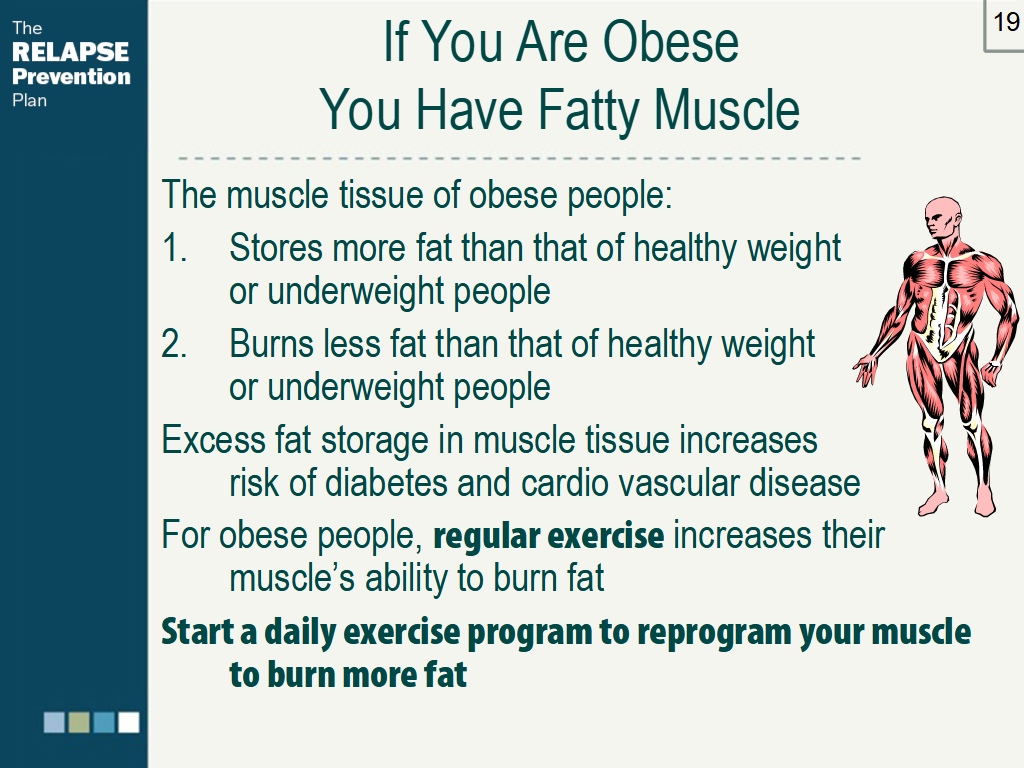 Lesson Slide Image