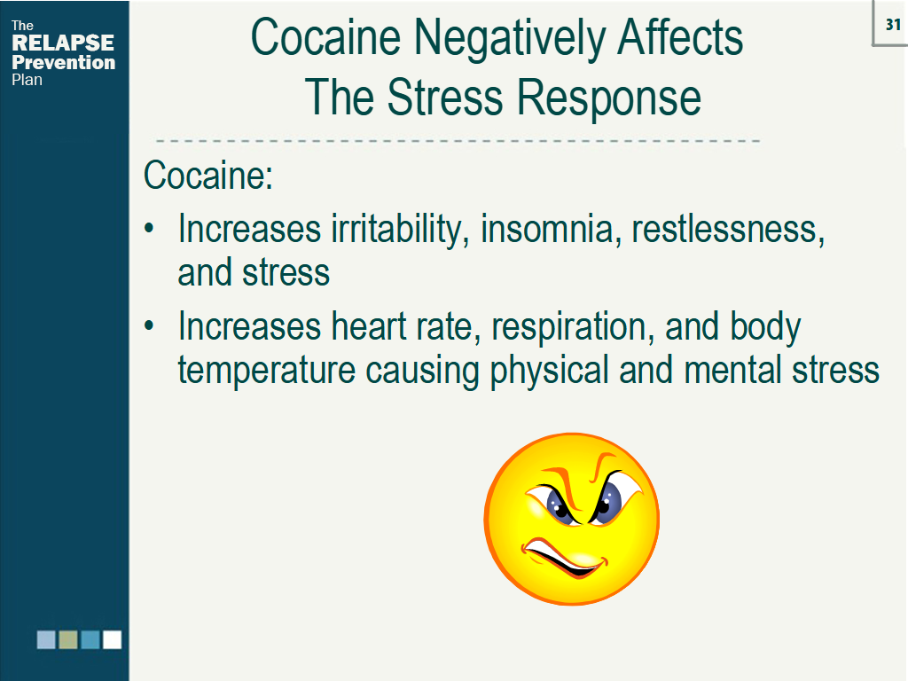 Lesson Slide Image